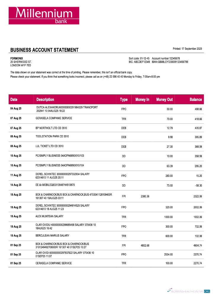 Download Poland Millennium business firm statement Word and PDF format Photoshop template